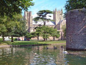 Wells Cathedral from the Bishop's Palace